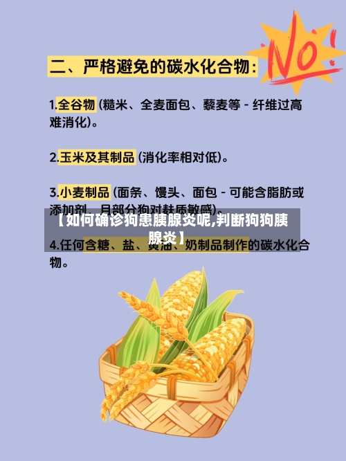 【如何确诊狗患胰腺炎呢,判断狗狗胰腺炎】-第2张图片