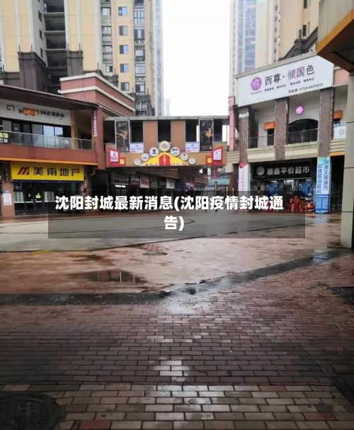 沈阳封城最新消息(沈阳疫情封城通告)-第3张图片