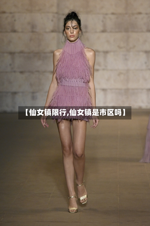 【仙女镇限行,仙女镇是市区吗】