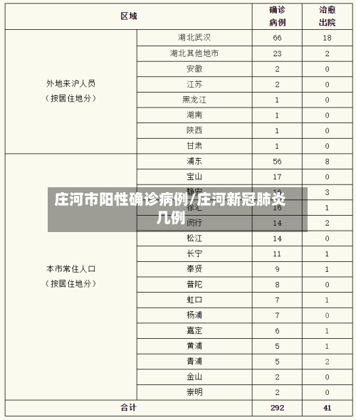 庄河市阳性确诊病例/庄河新冠肺炎几例