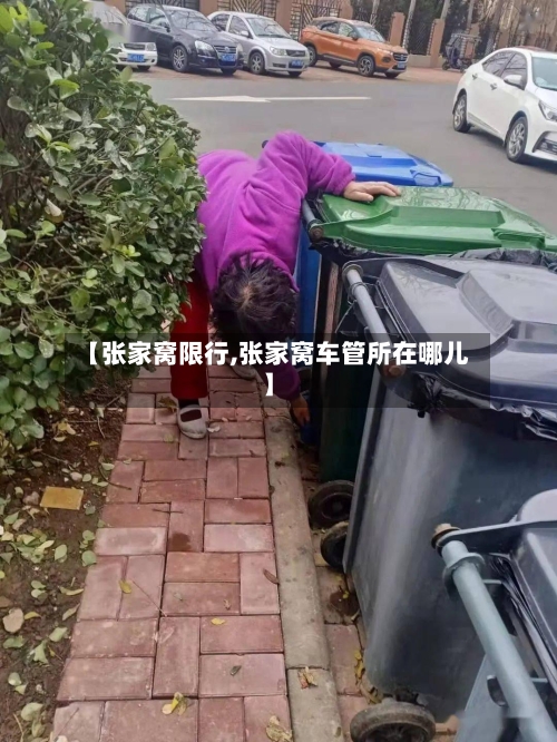 【张家窝限行,张家窝车管所在哪儿】