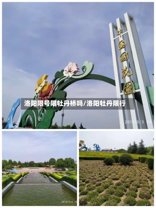 洛阳限号限牡丹桥吗/洛阳牡丹限行-第2张图片