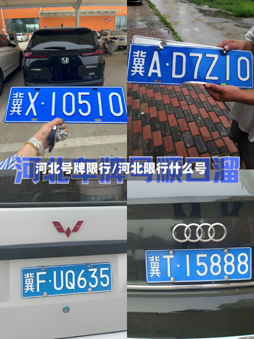 河北号牌限行/河北限行什么号