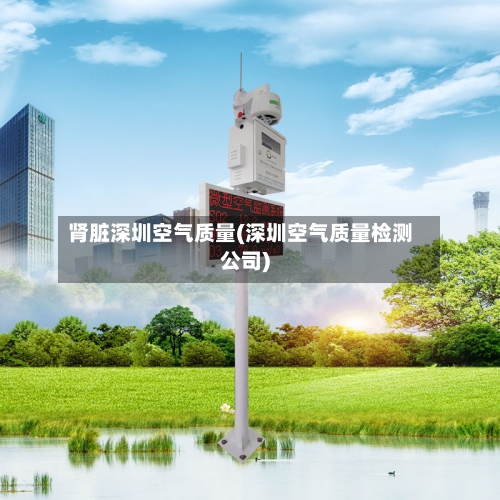 肾脏深圳空气质量(深圳空气质量检测公司)-第2张图片