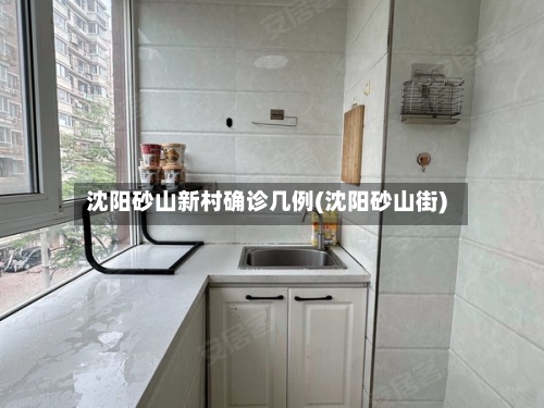 沈阳砂山新村确诊几例(沈阳砂山街)-第3张图片