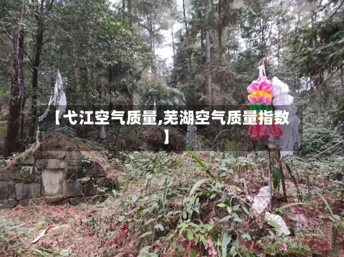 【弋江空气质量,芜湖空气质量指数】