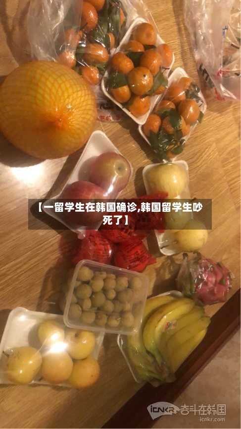 【一留学生在韩国确诊,韩国留学生吵死了】-第3张图片