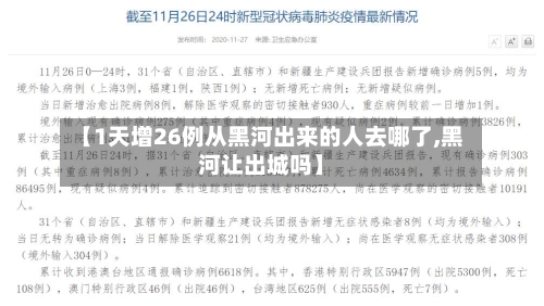 【1天增26例从黑河出来的人去哪了,黑河让出城吗】-第2张图片