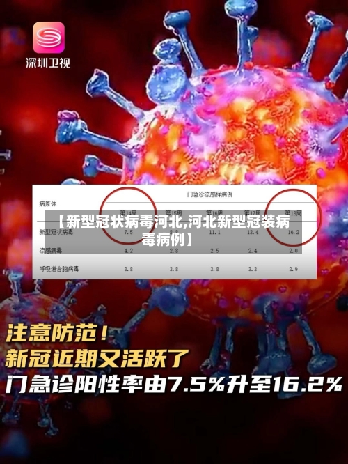 【新型冠状病毒河北,河北新型冠装病毒病例】-第2张图片