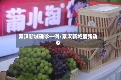 秦汉新城确诊一例/秦汉新城最新动态-第2张图片