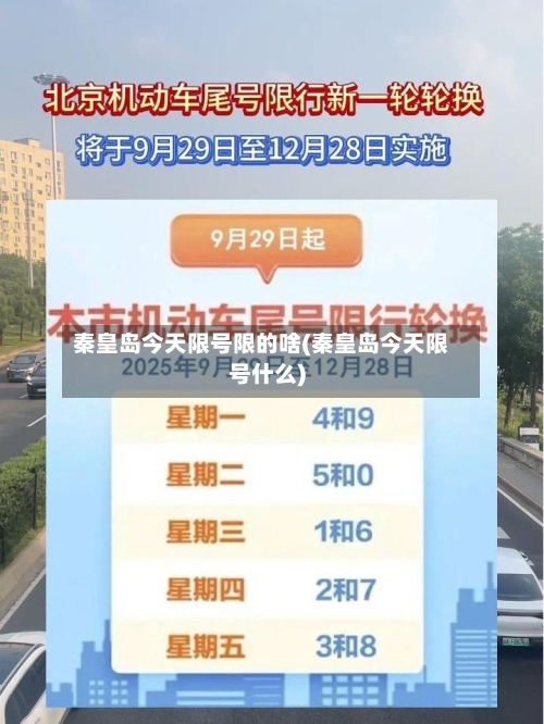 秦皇岛今天限号限的啥(秦皇岛今天限号什么)