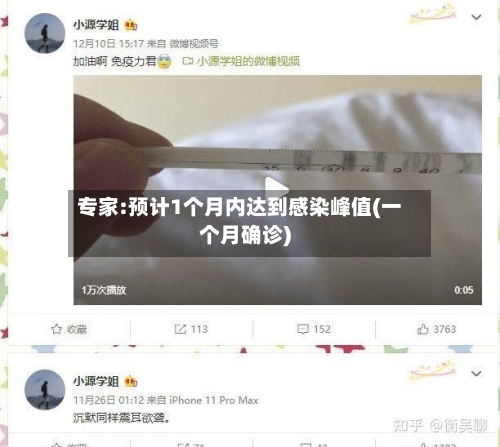 专家:预计1个月内达到感染峰值(一个月确诊)