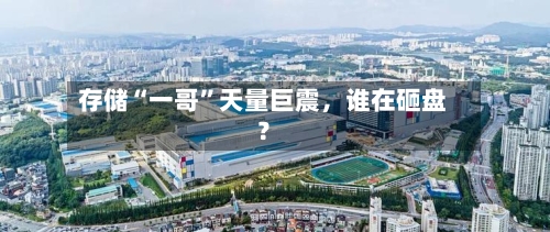 存储“一哥”天量巨震，谁在砸盘？