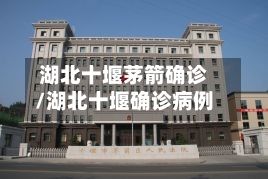湖北十堰茅箭确诊/湖北十堰确诊病例-第3张图片