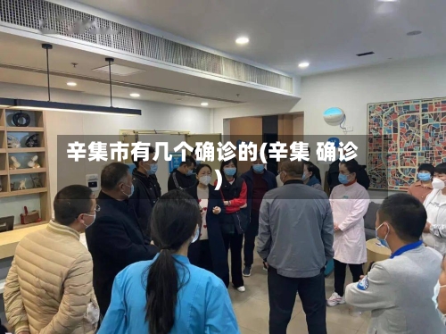 辛集市有几个确诊的(辛集 确诊)