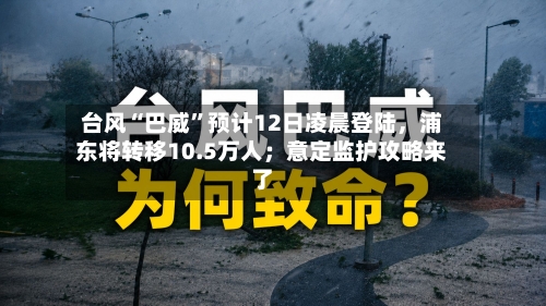 台风“巴威”预计12日凌晨登陆,浦东将转移10.5万人;意定监护攻略来了