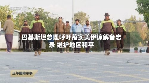 巴基斯坦总理呼吁落实美伊谅解备忘录 维护地区和平-第3张图片