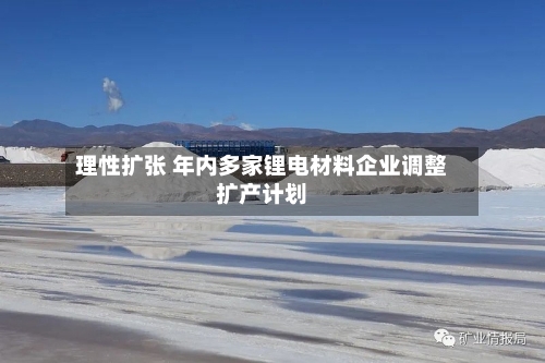 理性扩张 年内多家锂电材料企业调整扩产计划-第2张图片