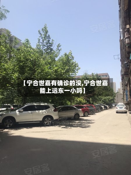 【宁合世嘉有确诊的没,宁合世嘉能上远东一小吗】