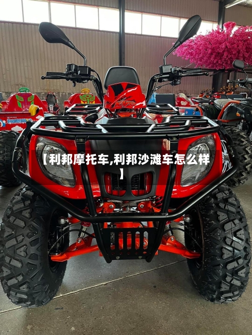 【利邦摩托车,利邦沙滩车怎么样】-第2张图片