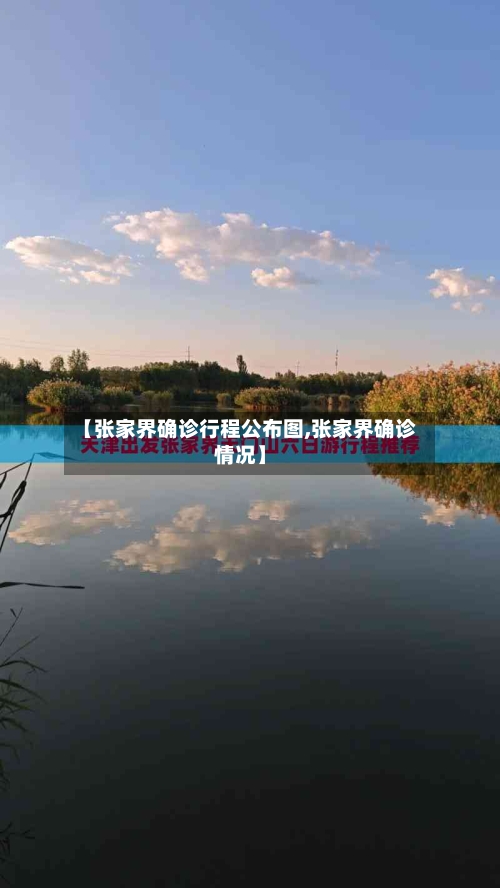 【张家界确诊行程公布图,张家界确诊情况】-第2张图片
