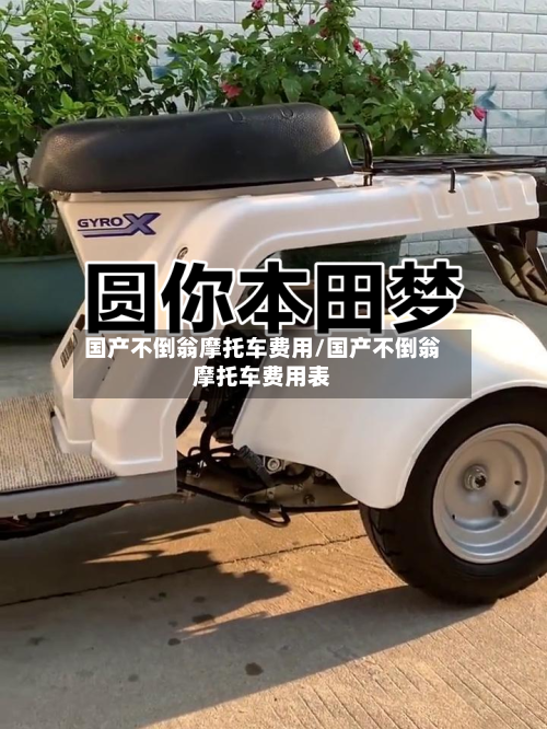 国产不倒翁摩托车费用/国产不倒翁摩托车费用表-第2张图片