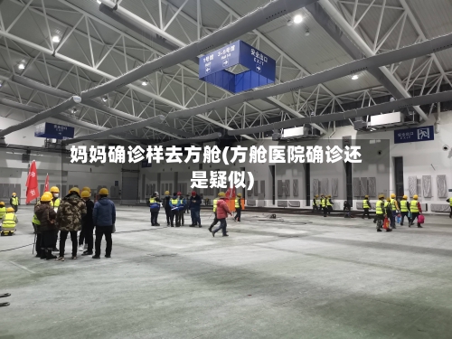 妈妈确诊样去方舱(方舱医院确诊还是疑似)-第2张图片