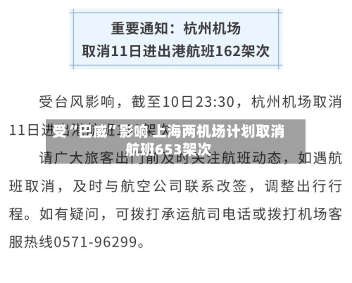 受“巴威”影响 上海两机场计划取消航班653架次-第2张图片