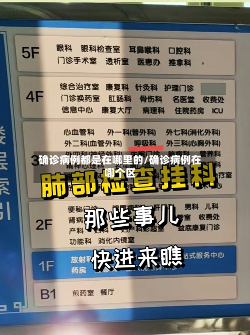 确诊病例都是在哪里的/确诊病例在哪个区-第2张图片