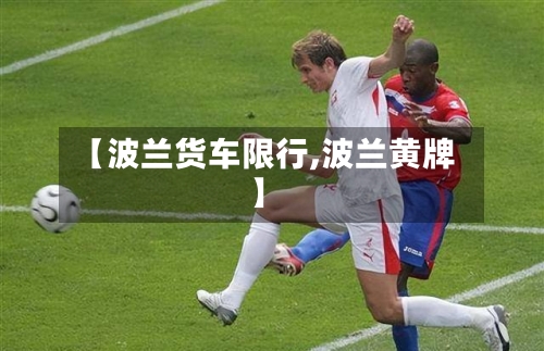 【波兰货车限行,波兰黄牌】