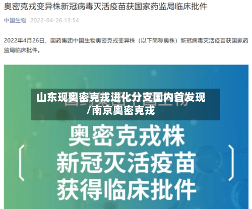 山东现奥密克戎进化分支国内首发现/南京奥密克戎