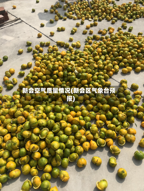 新会空气质量情况(新会区气象台预报)