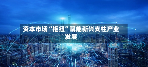 资本市场“枢纽	”赋能新兴支柱产业发展-第2张图片