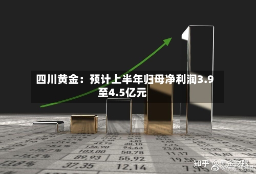 四川黄金：预计上半年归母净利润3.9至4.5亿元-第3张图片