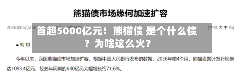 首超5000亿元！熊猫债 是个什么债？为啥这么火？