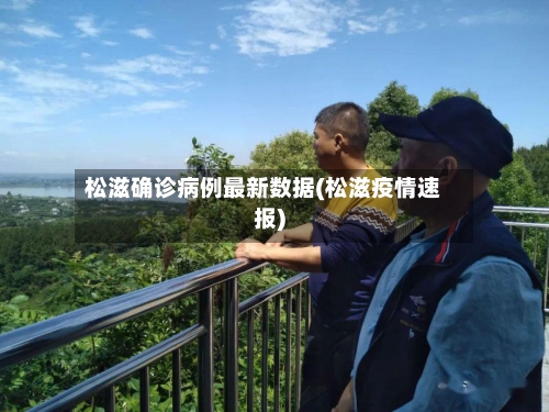 松滋确诊病例最新数据(松滋疫情速报)-第3张图片
