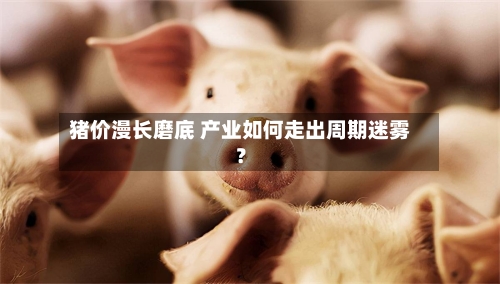 猪价漫长磨底 产业如何走出周期迷雾？-第2张图片