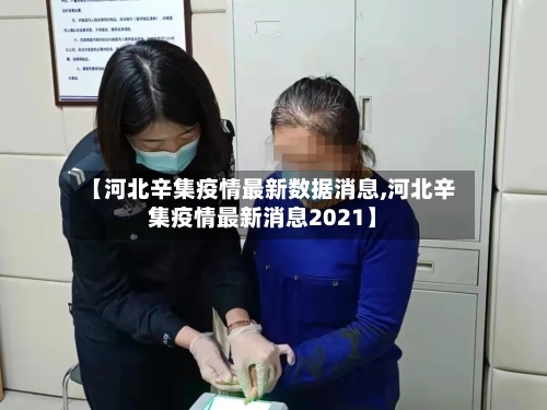 【河北辛集疫情最新数据消息,河北辛集疫情最新消息2021】-第3张图片