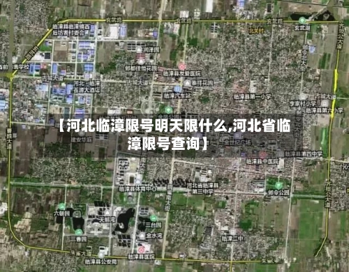 【河北临漳限号明天限什么,河北省临漳限号查询】-第2张图片
