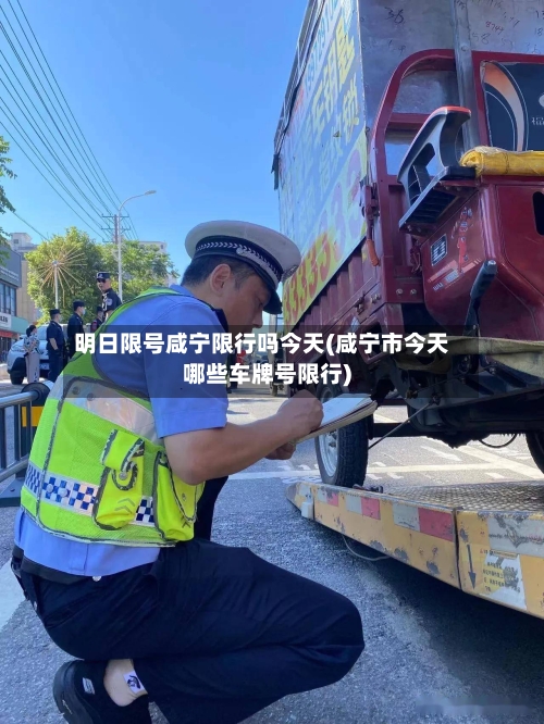 明日限号咸宁限行吗今天(咸宁市今天哪些车牌号限行)