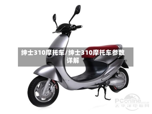 绅士310摩托车/绅士310摩托车参数详解-第2张图片