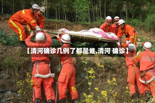 【清河确诊几例了都是谁,清河 确诊】