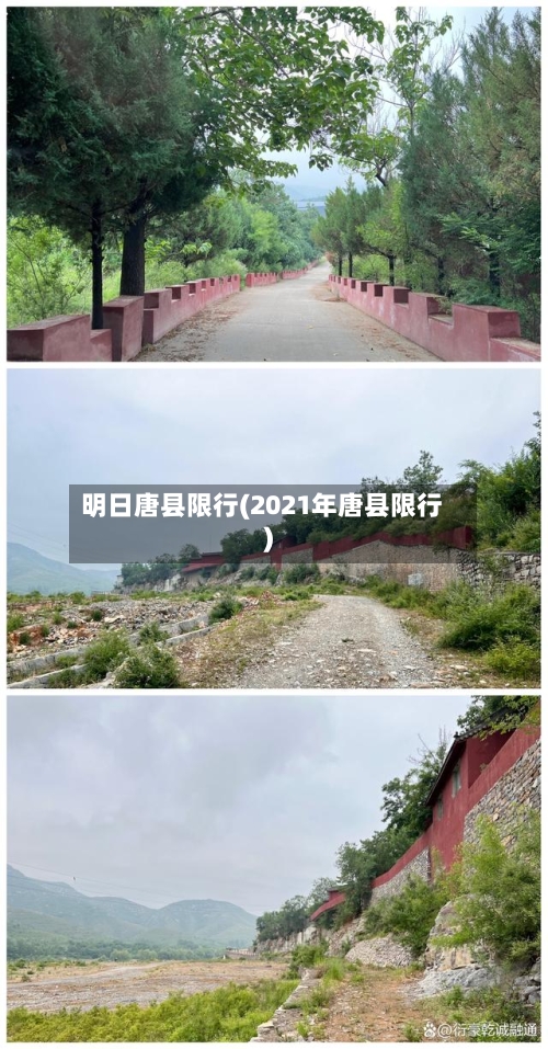明日唐县限行(2021年唐县限行)-第3张图片