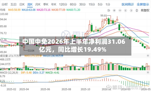 中国中免2026年上半年净利润31.06亿元，同比增长19.49%