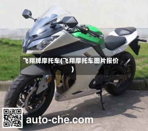 飞翔牌摩托车(飞翔摩托车图片报价)
