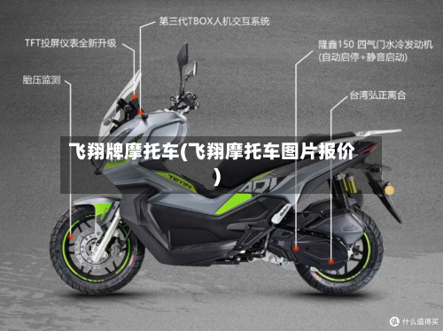 飞翔牌摩托车(飞翔摩托车图片报价)-第2张图片