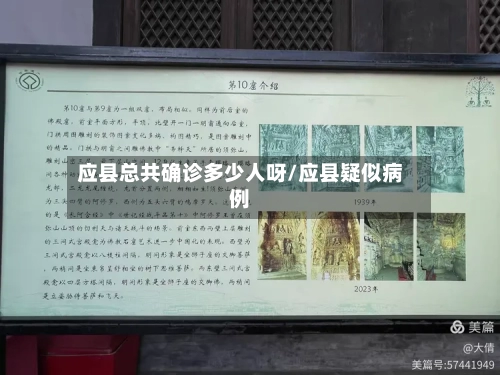 应县总共确诊多少人呀/应县疑似病例-第2张图片