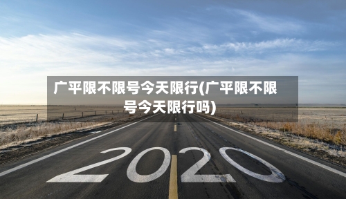 广平限不限号今天限行(广平限不限号今天限行吗)-第2张图片