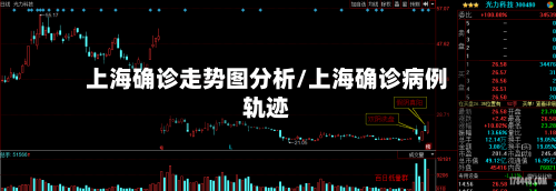 上海确诊走势图分析/上海确诊病例轨迹-第3张图片