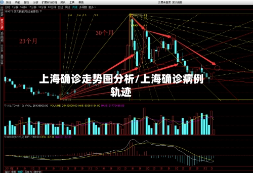 上海确诊走势图分析/上海确诊病例轨迹